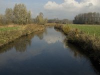 NL, Noord-Brabant, Meierijstad, Olland, Dommel 5, Saxifraga-Jan van der Straaten