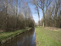 NL, Noord-Brabant, Meierijstad, Wijboschbroek 10, Saxifraga-Willem van Kruijsbergen