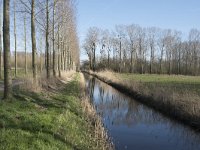 NL, Noord-Brabant, Meierijstad, Wijboschbroek 11, Saxifraga-Willem van Kruijsbergen