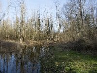 NL, Noord-Brabant, Meierijstad, Wijboschbroek 18, Saxifraga-Willem van Kruijsbergen