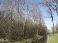 NL, Noord-Brabant, Meierijstad, Wijboschbroek 9, Saxifraga-Willem van Kruijsbergen