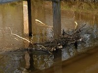 NL, Noord-Brabant, Meierijstad, de Dommel 8, garbage, Saxifraga-Jan van der Straaten