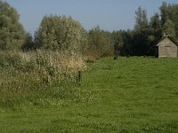 NL, Noord-Brabant, Moerdijk, Bovensluis 1, Saxifraga-Jan van der Straaten