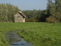 NL, Noord-Brabant, Moerdijk, Bovensluis 4, Saxifraga-Jan van der Straaten