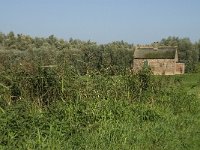 NL, Noord-Brabant, Moerdijk, Buitengorzen 3, Saxifraga-Jan van der Straaten