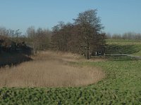 NL, Noord-Brabant, Moerdijk, Fort Sabina 1, Saxifraga-Jan van der Straaten