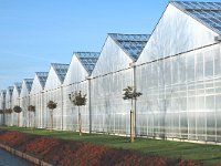 NL, Noord-Brabant, Moerdijk, Hazeldonk 1, Saxifraga-Jan van der Straaten