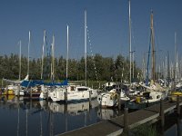 NL, Noord-Brabant, Moerdijk, Noordschans 2, Saxifraga-Jan van der Straaten