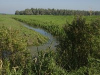 NL, Noord-Brabant, Moerdijk, Tonnekreek 1, Saxifraga-Jan van der Straaten