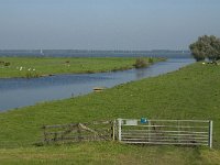 NL, Noord-Brabant, Moerdijk, Tonnekreek 6, Saxifraga-Jan van der Straaten