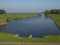 NL, Noord-Brabant, Moerdijk, Tonnekreek 7, Saxifraga-Jan van der Straaten