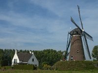 NL, Noord-Brabant, Nuenen, Gerwen en Nederwetten, 3, Saxifraga-Jan van der Straaten