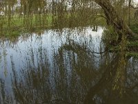 NL, Noord-Brabant, Nuenen, Gerwen en Nederwetten, Hooidonk 3, Saxifraga-Jan van der Straaten