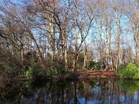 NL, Noord-Brabant, Nuenen-Gerwen-Nederwetten, Landgoed Soeterbeek 1, Saxifraga-Tom Heijnen