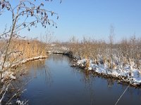 NL, Noord-Brabant, Oirschot, Beersbroek 2, Saxifraga-Tom Heijnen