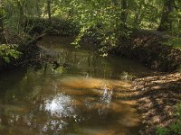 NL, Noord-Brabant, Oirschot, Beerze 5, Saxifraga-Jan van der Straaten