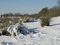 NL, Noord-Brabant, Oirschot, Dal van de Beerze 21, Saxifraga-Marijke Verhagen