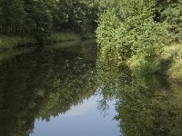 NL, Noord-Brabant, Oirschot, De Baest, Diversion canal 4, Saxifraga-Jan van der Straaten