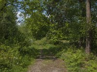 NL, Noord-Brabant, Oirschot, De Mortelen 37, Saxifraga-Jan van der Straaten