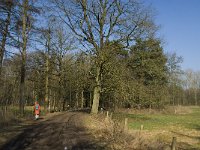 NL, Noord-Brabant, Oirschot, De Mortelen 8, Saxifraga-Jan van der Straaten