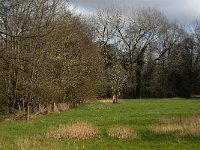 NL, Noord-Brabant, Oirschot, De Woekens 13, Saxifraga-Jan van der Straaten