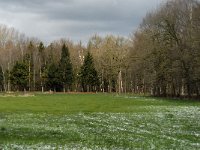 NL, Noord-Brabant, Oirschot, De Zwarte Voorten 1, Saxifraga-Marijke Verhagen