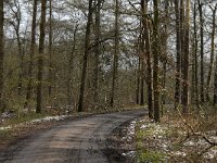 NL, Noord-Brabant, Oirschot, De Zwarte Voorten 25, Saxifraga-Marijke Verhagen