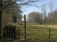 NL, Noord-Brabant, Oirschot, Heerenbeek 11, Saxifraga-Jan van der Straaten