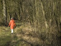 NL, Noord-Brabant, Oirschot, Heerenbeek 16, Saxifraga-Jan van der Straaten