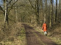 NL, Noord-Brabant, Oirschot, Heerenbeek 41, Saxifraga-Jan van der Straaten