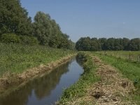 NL, Noord-Brabant, Oirschot, Heiloop 1, Saxifraga-Marijke Verhagen