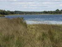 NL, Noord-Brabant, Oirschot, Keijenhurk 1, Saxifraga-Jan van der Straaten