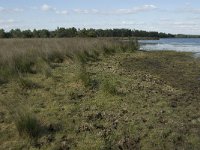 NL, Noord-Brabant, Oirschot, Keijenhurk 3, Saxifraga-Jan van der Straaten