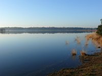 NL, Noord-Brabant, Oirschot, Keijenhurk in Landschotse Heide 1, Saxifraga-Tom Heijnen