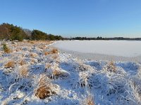 NL, Noord-Brabant, Oirschot, Keijenhurk in Landschotse Heide 4, Saxifraga-Tom Heijnen