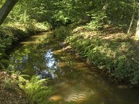 NL, Noord-Brabant, Oirschot, Kleine Beerze 13, Saxifraga-Jan van der Straaten