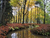 NL, Noord-Brabant, Oirschot, Landgoed De Baest S of Wilhelminakanaal 3, Saxifraga-Tom Heijnen