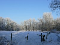 NL, Noord-Brabant, Oirschot, Mortelen 10, Saxifraga-Tom Heijnen