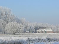 NL, Noord-Brabant, Oirschot, Mortelen 12, Saxifraga-Tom Heijnen