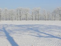 NL, Noord-Brabant, Oirschot, Mortelen 14, Saxifraga-Tom Heijnen