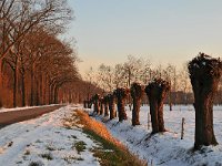 NL, Noord-Brabant, Oirschot, Mortelen 15, Saxifraga-Tom Heijnen