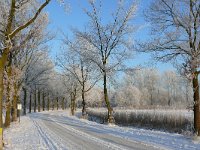 NL, Noord-Brabant, Oirschot, Mortelen 6, Saxifraga-Tom Heijnen