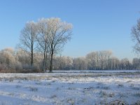 NL, Noord-Brabant, Oirschot, Mortelen 9, Saxifraga-Tom Heijnen