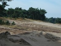 NL, Noord-Brabant, Oirschot, Oirschotse Heide 4, Saxifraga-Jaap Bouwman : stuizand2