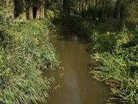 NL, Noord-Brabant, Oirschot, Smalbroeken, Beerze 1, Saxifraga-Jan van der Straaten