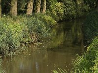 NL, Noord-Brabant, Oirschot, Smalbroeken, Beerze 3, Saxifraga-Jan van der Straaten