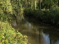 NL, Noord-Brabant, Oirschot, Smalbroeken, Beerze 5, Saxifraga-Jan van der Straaten