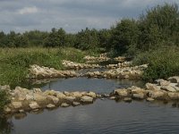 NL, Noord-Brabant, Oirschot, Spoordonk, de Beerze 7, Saxifraga-Jan van der Straaten