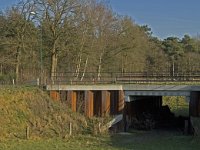 NL, Noord-Brabant, Oirschot, Westelbeersche Broek 2, Saxifraga-Jan van der Straaten