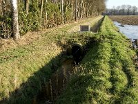 NL, Noord-Brabant, Oirschot, Westelbeersche Broek 3, Saxifraga-Jan van der Straaten